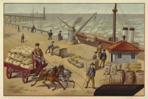 Transporting cocoa by European School